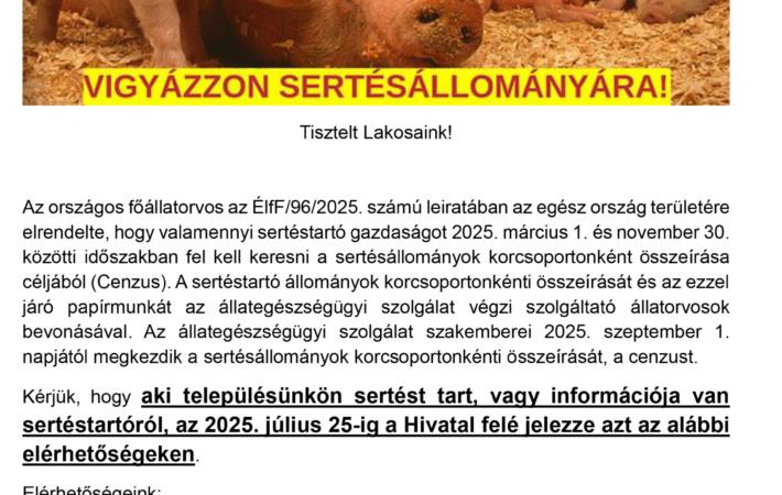 Felhívás !
