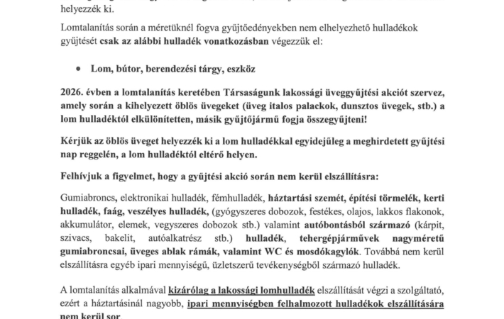 Lomtalanítás